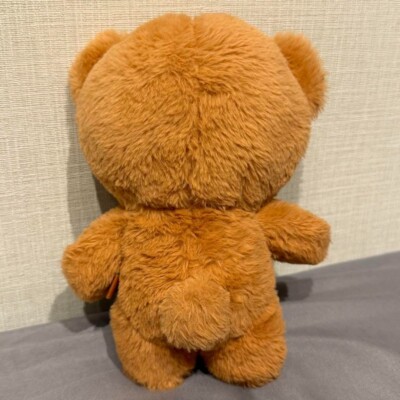 Nct haechan gomdo lee 20cm bear plush doll master ikomdo Kpop