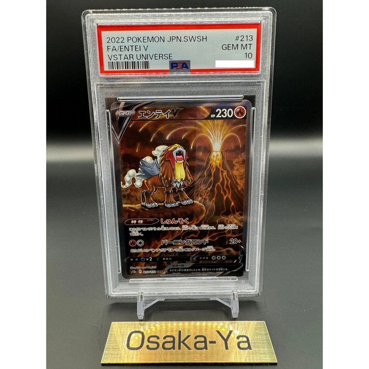 PSA 10 ENTEI V 213/172 SAR Vstar Universe Pokemon Card Japanese