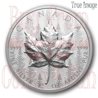 2024 Maple Leaf Canada Ultra-High Relief UHR SML $20 1 OZ Pure