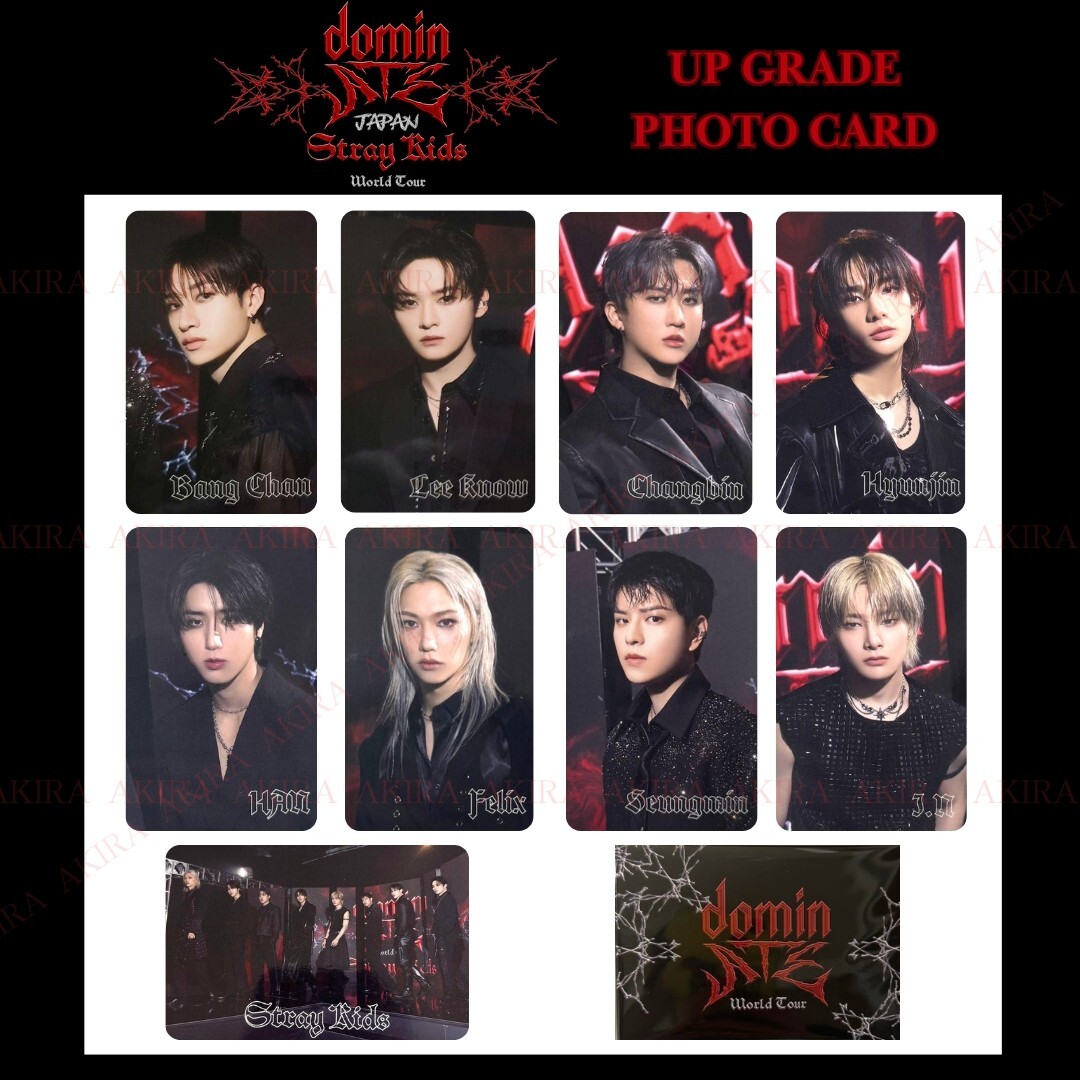 STRAY KIDS WORLD TOUR dominATE JAPAN dominATE SHEET 樂 UPGRADE
