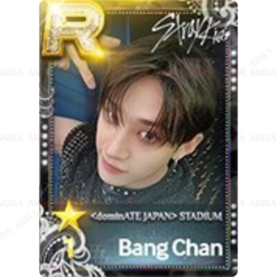 STRAY KIDS dominATE JAPAN SHIZUOKA ECOPA SUPER STAR JYP NATION