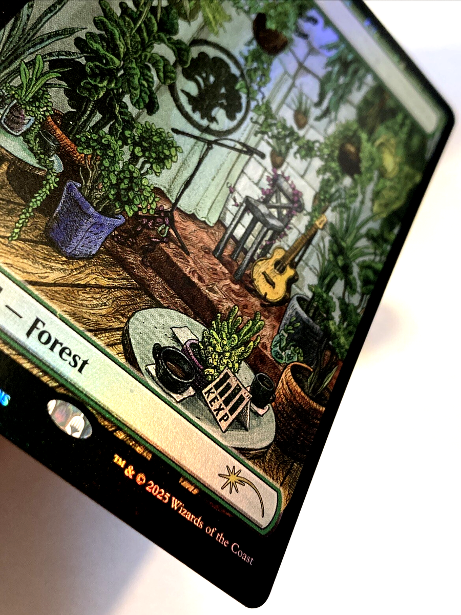 Forest (2080) (Rainbow Foil) Secret Lair Drop Foil for sale online
