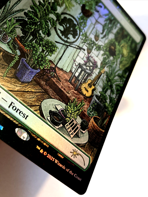 MTG Forest (Rainbow Foil) Secret Lair x KEXP 2080 NM | eBay