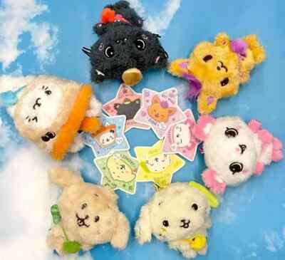 nct Wish 10cm Doll Kuri Bubble Night Bang Sakuya riku Yuushi | eBay