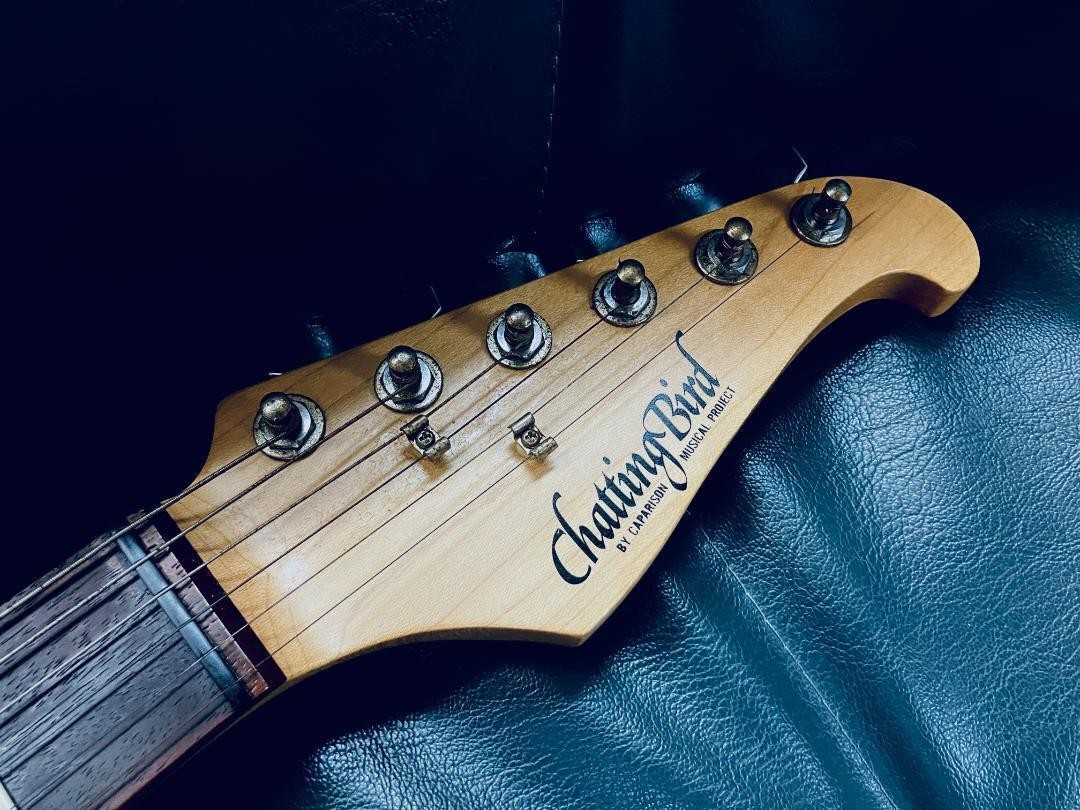 Electric Guitar Chatting Bird by Caparison Dark Blue | eBay