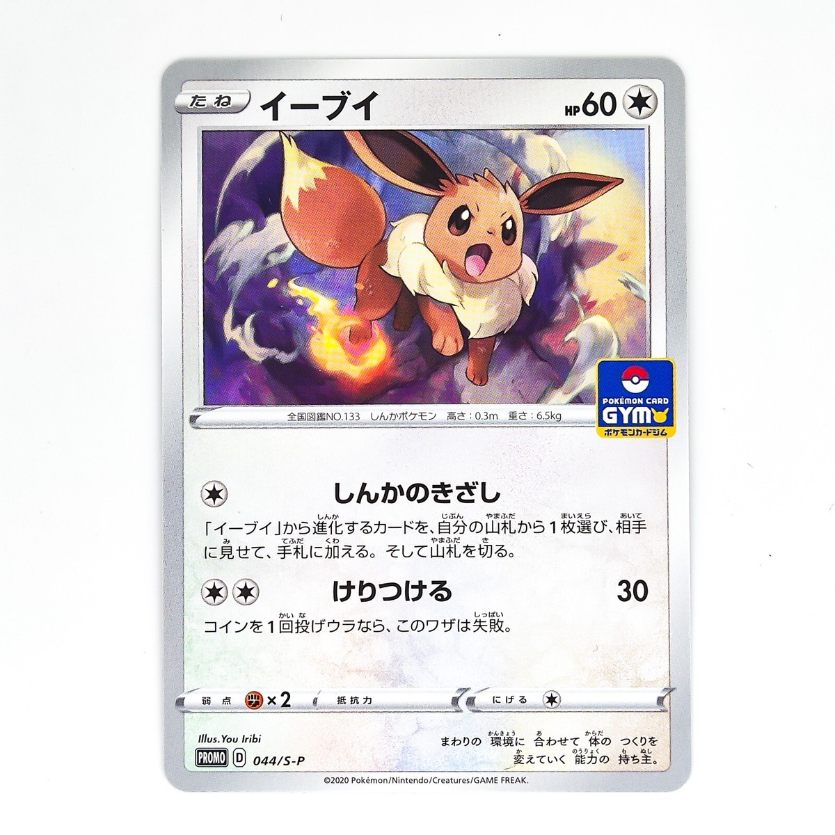 Eevee 044/S-P GYM PROMO - Pokemon Card Japanese | eBay