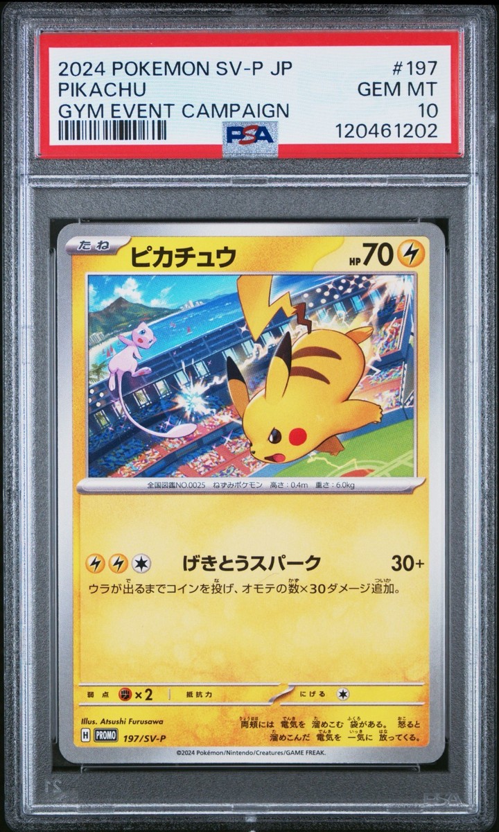 PSA 10 - Japanese Pikachu 197/SV-P Gym Event Campaign - Pokemon