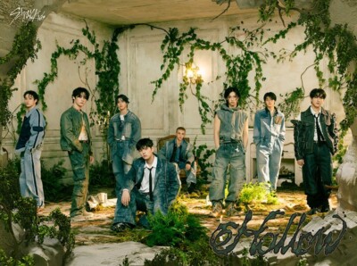 STRAY KIDS JAPAN 3rd MINI ALBUM Hollow FC SOLO Limited CD SEALED