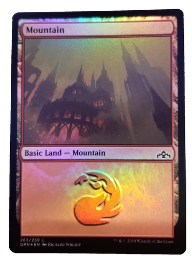 MTG Slp 0033 / Swamp Foil Magic Con | eBay