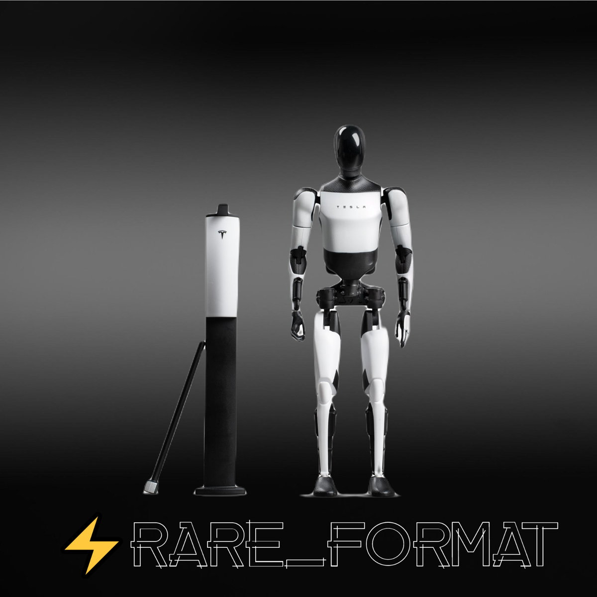 Tesla Bot Action Figure⚡🤖NEW Optimus SpaceX Elon Musk Doge Toy