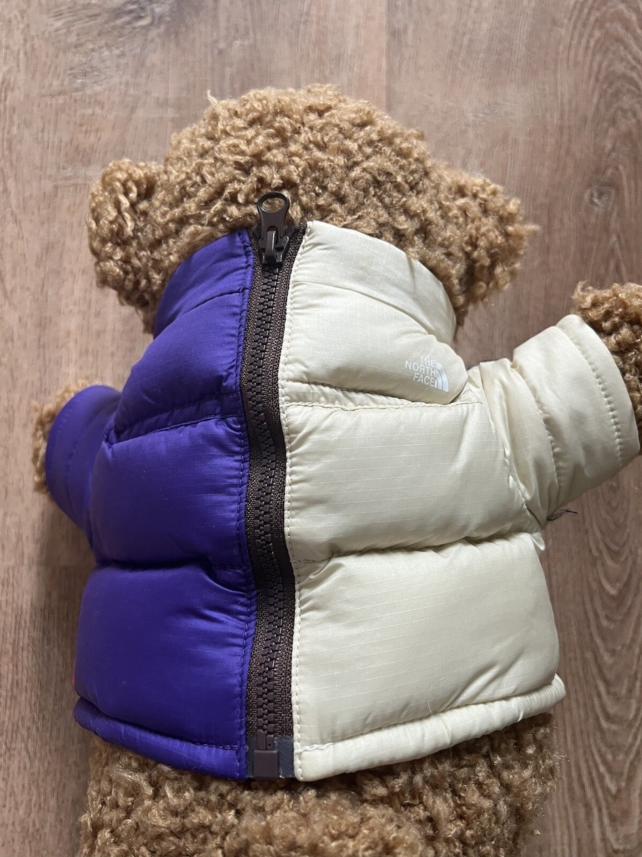 Supreme The North Face Bear- Tan | eBay