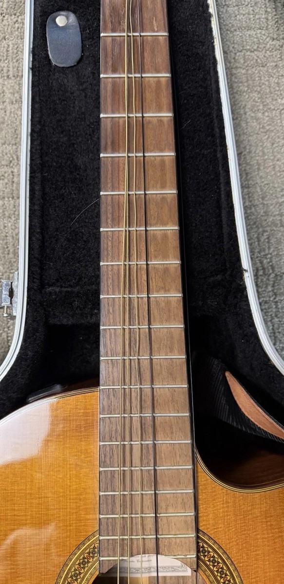 Yamaha CGX171CCA Acoustic Guitar With Gig Case From Japan for sale