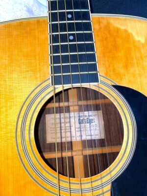 Tokai Cat'S Eyes Ce-250 Acoustic Guitar With Soft Case CE250 | eBay