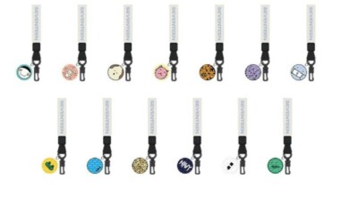 SEVENTEEN INCOMPLETE Mask Strap+Photo card | eBay