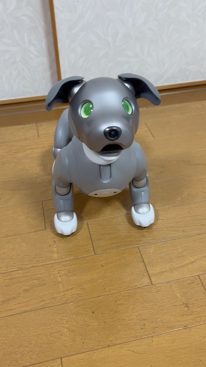 Sony aibo ERS-1000 Robot Dog 2021 Black Sesame Tested From Japan