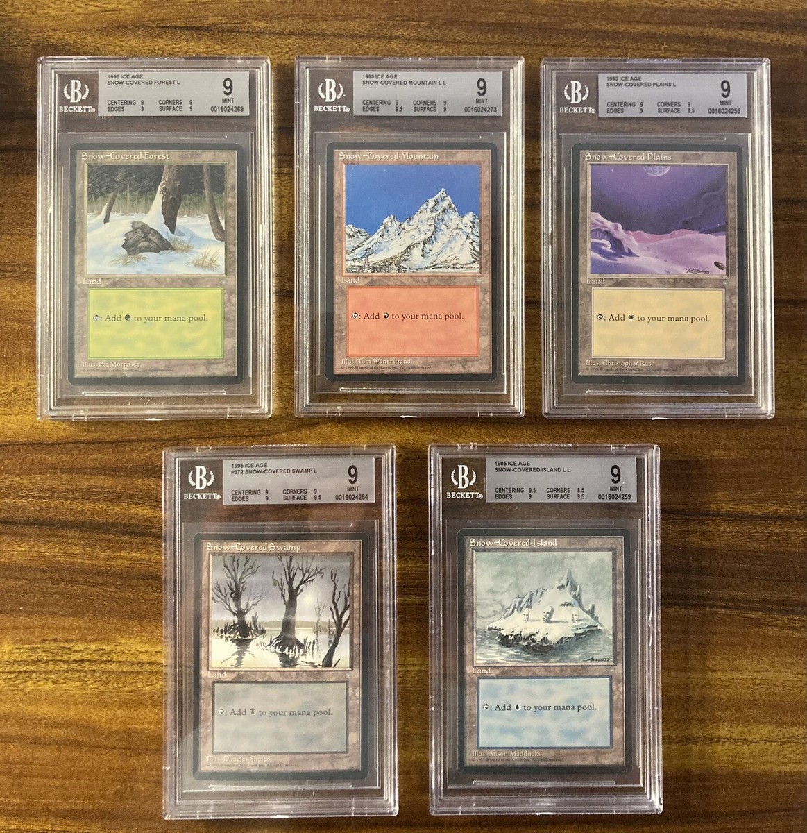 MTG✨Ice Age SNOW-COVERED LANDS SET✨Ice Age BGS 9 MINT Lands 1995