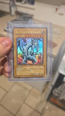 Blue Eyes White Dragon Lob 1st Edition for sale - eBay