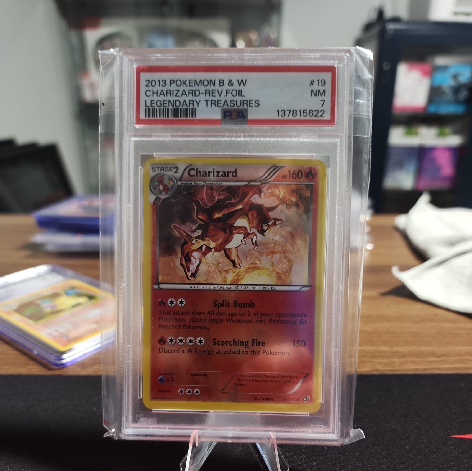 Charizard 2013 Black & White: Legendary Treasures #019/113 Holo