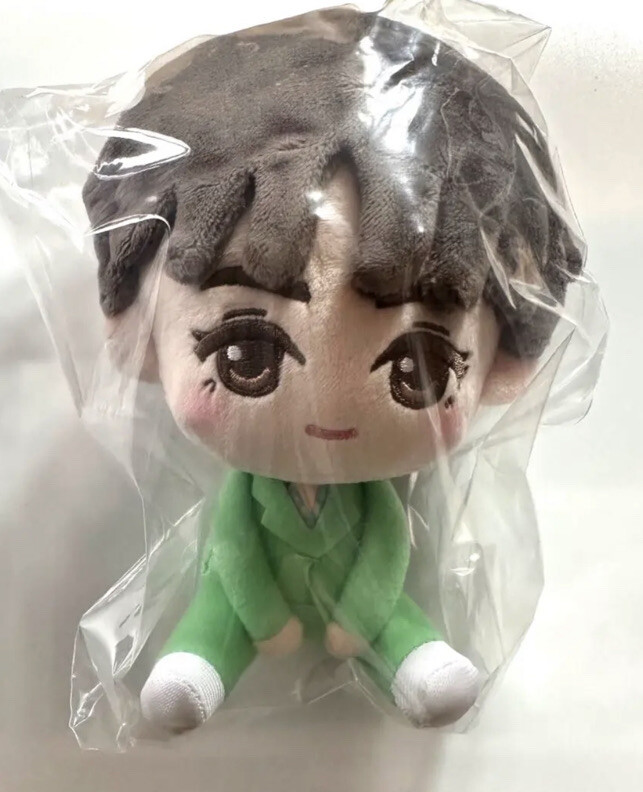 SEVENTEEN Ichiban Kuji Vernon Plush Doll Petiteen From Seventeen