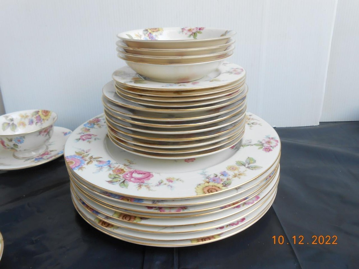 Vtg 1950s CASTLETON CHINA SUNNYBROOKE Dinnerware Dinner Set of 64