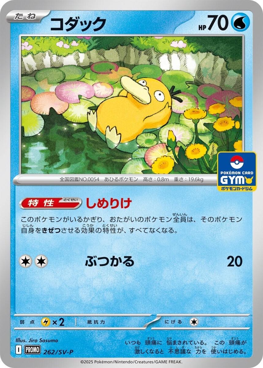 Pokemon Card Psyduck Pokemon card Gym Promo vol.10 262/SV-P