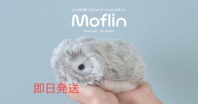 Casio AI Pet Moflin Communication Robot Silver PE-M10GD japan [NEW