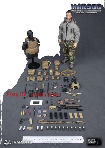 Perfect Damtoys 93011 Navy Seal Riverine Ops Rifleman Action