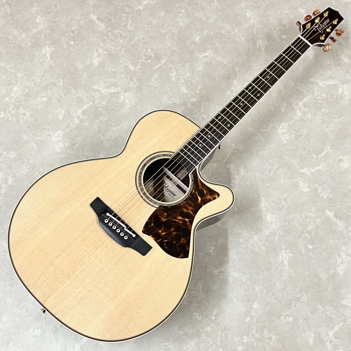 Takamine / DMP50S NAT Dual pickup specifications Acoustic Electric