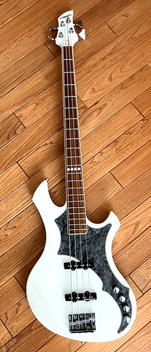 EDWARDS E-RF-137SL the GazettE REITA Model Electric Bass Guitar