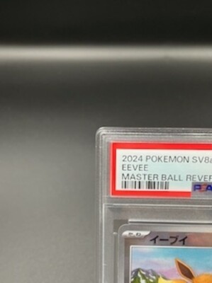 PSA 10 Eevee 125/187 Master Ball Holo Terastal Festival Pokemon