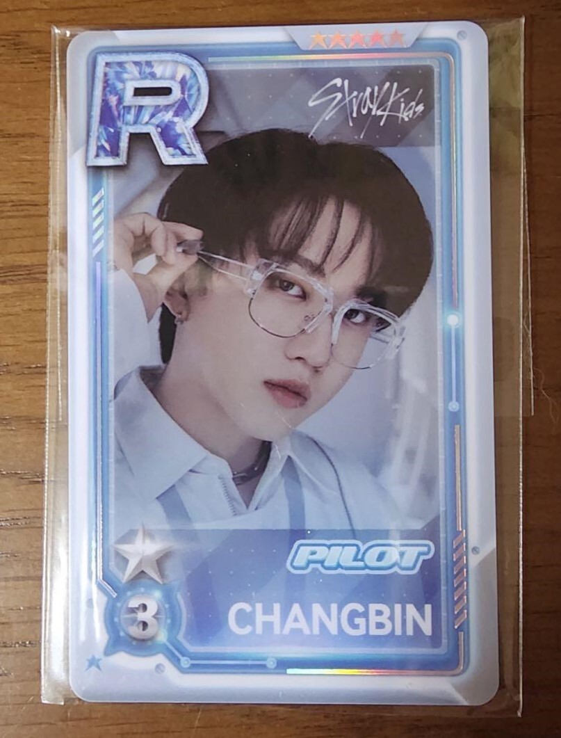 Stray Kids FAN MEETING PILOT 5-STAR JYPnation SUPER STAR Official