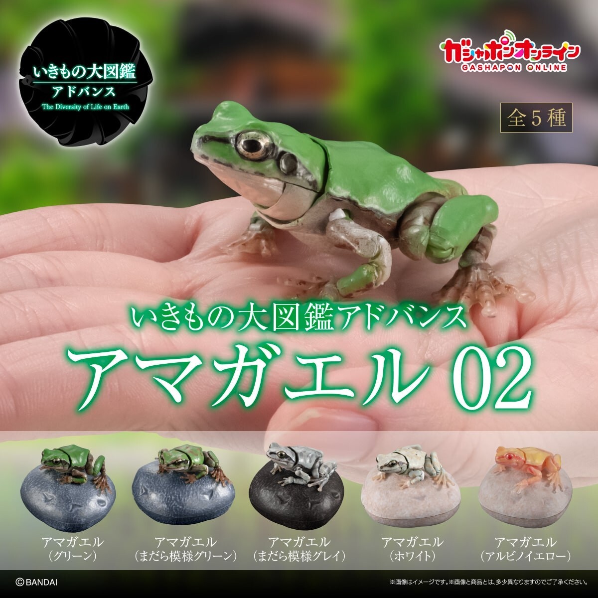 The Diversity of Life on Earth Tree Frog Figure 02 Set of 5