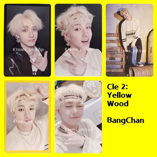 Stray Kids photocard album Yellow Wood Official Photo card : Bang
