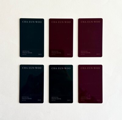 Astro Cha Eunwoo Official Photo Book in LA 2023 PVC Photocard | eBay