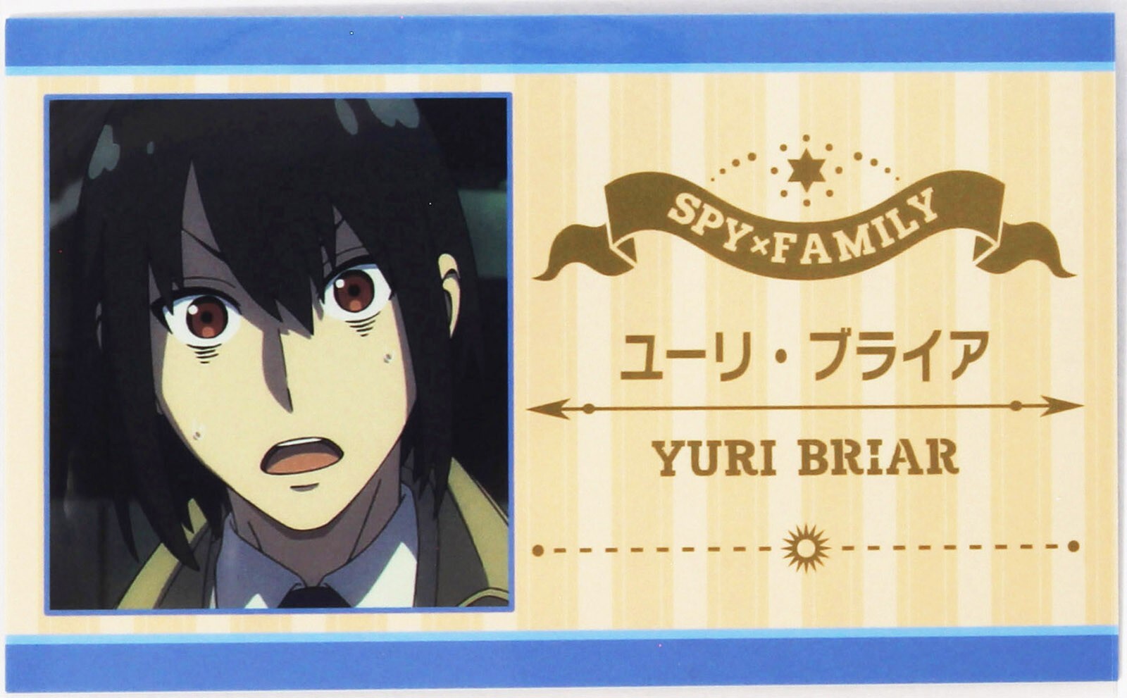 Spy × Family Name Card Yuri Briar Type B Japanese Character | eBay