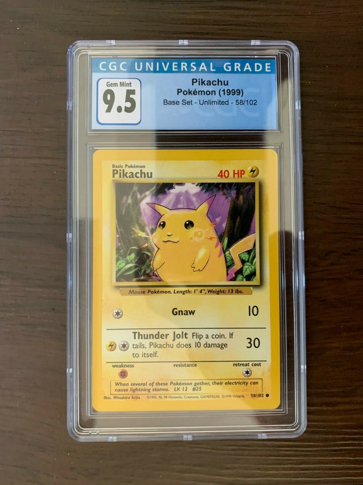 _57.JPG?set_id=8800005007