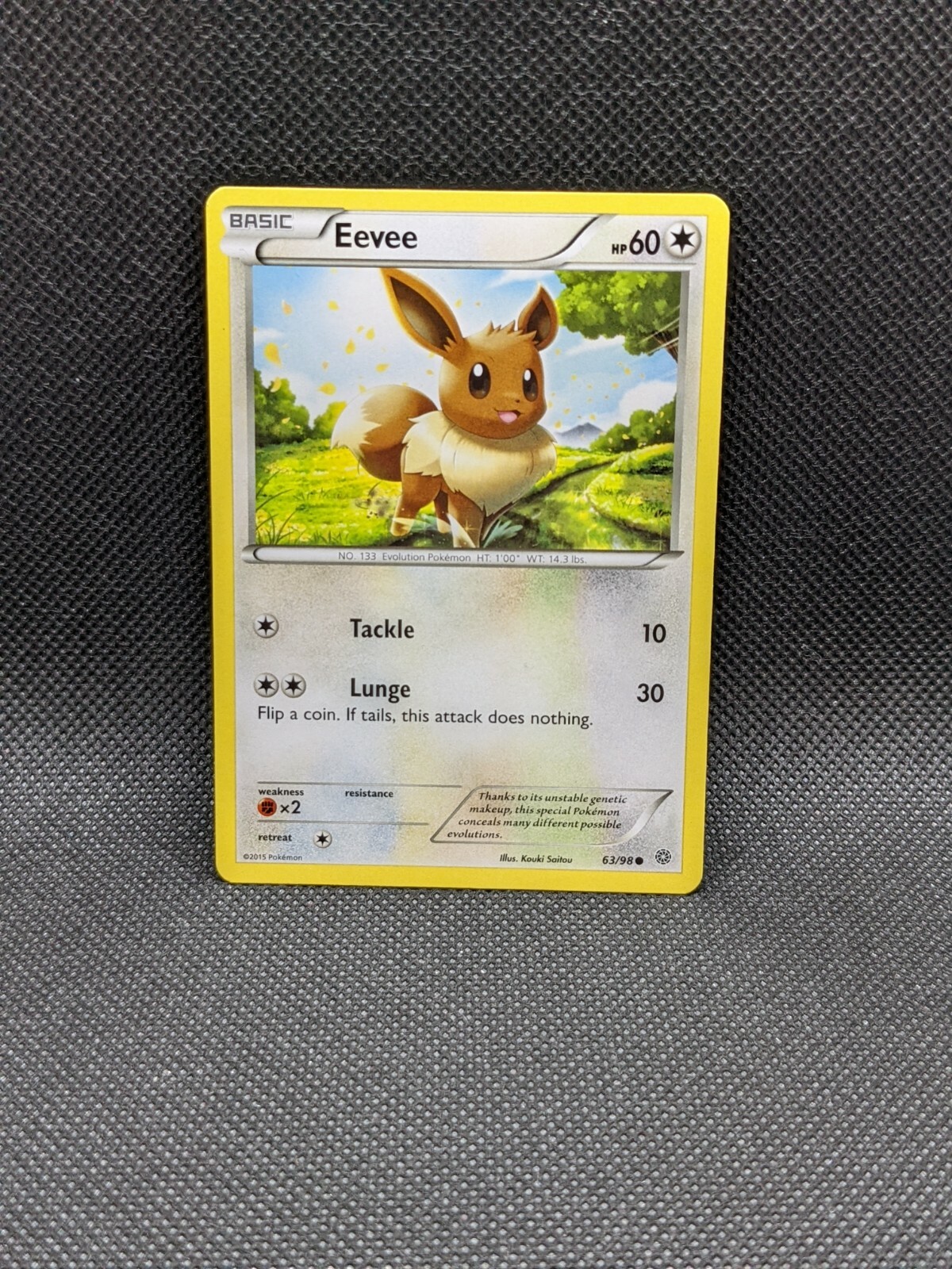 _57.JPG?set_id=880000500F