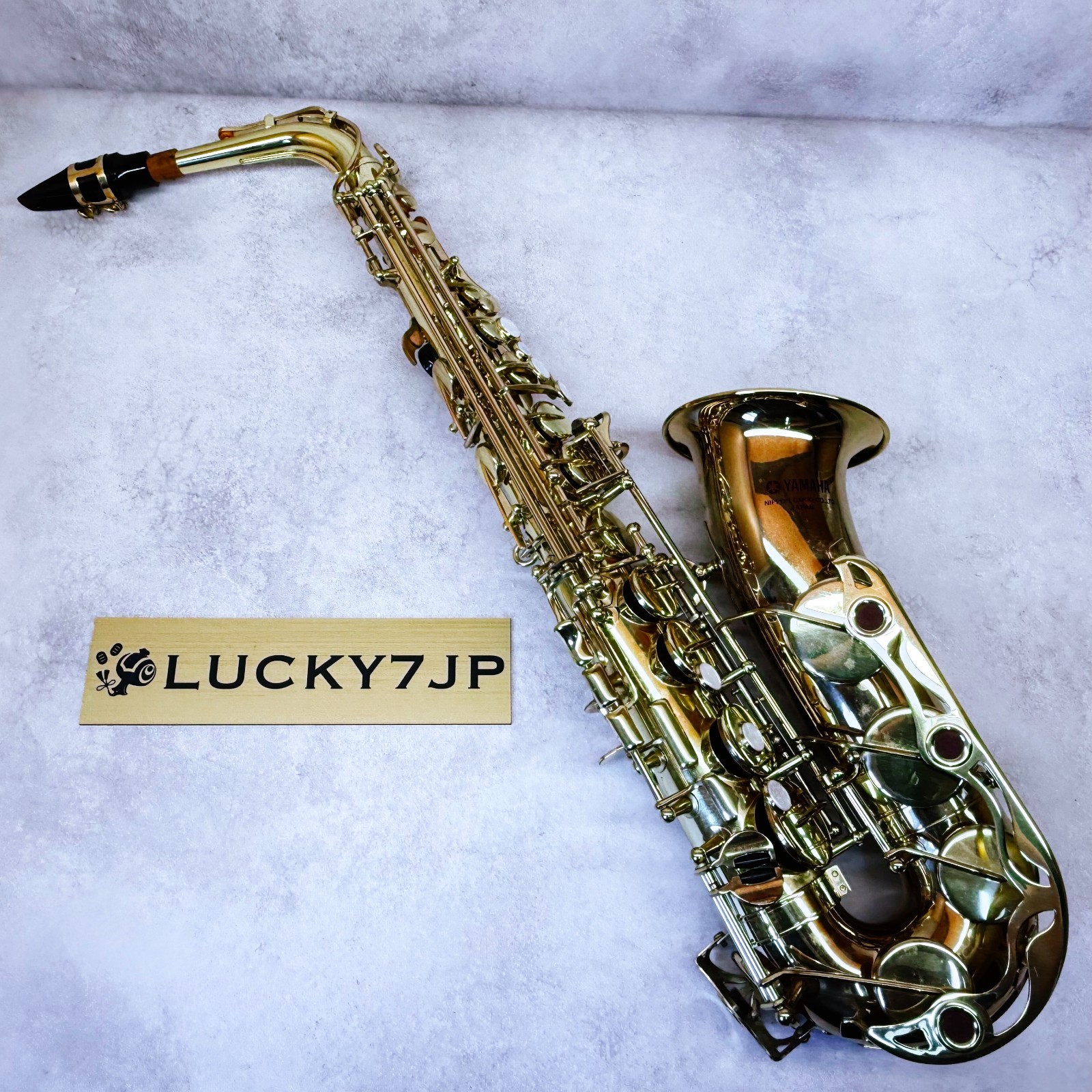 $_57.JPG?set_id=880000500F