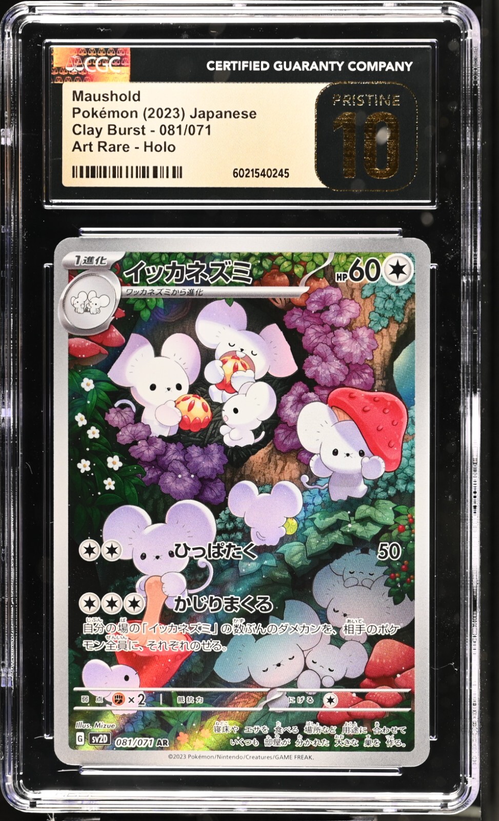 $_57.JPG?set_id=880000500F