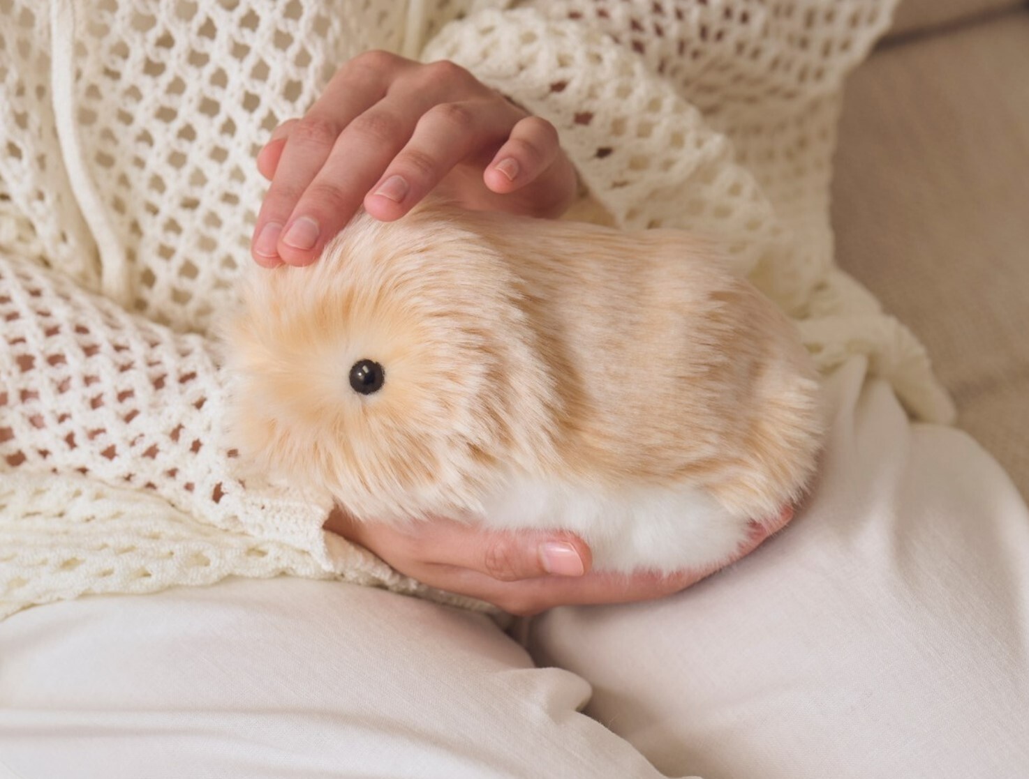 $_57.JPG?set_id=880000500F