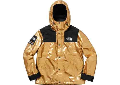 Supreme The North Face Bear- Tan | eBay