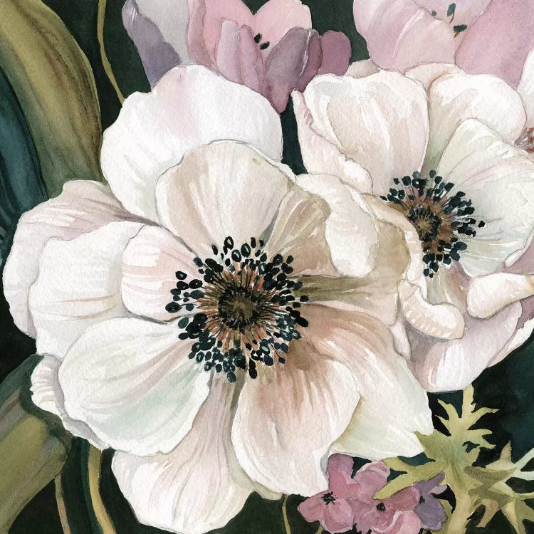 Anemone Study I Canvas Wall Art by Carol Robinson | iCanvas