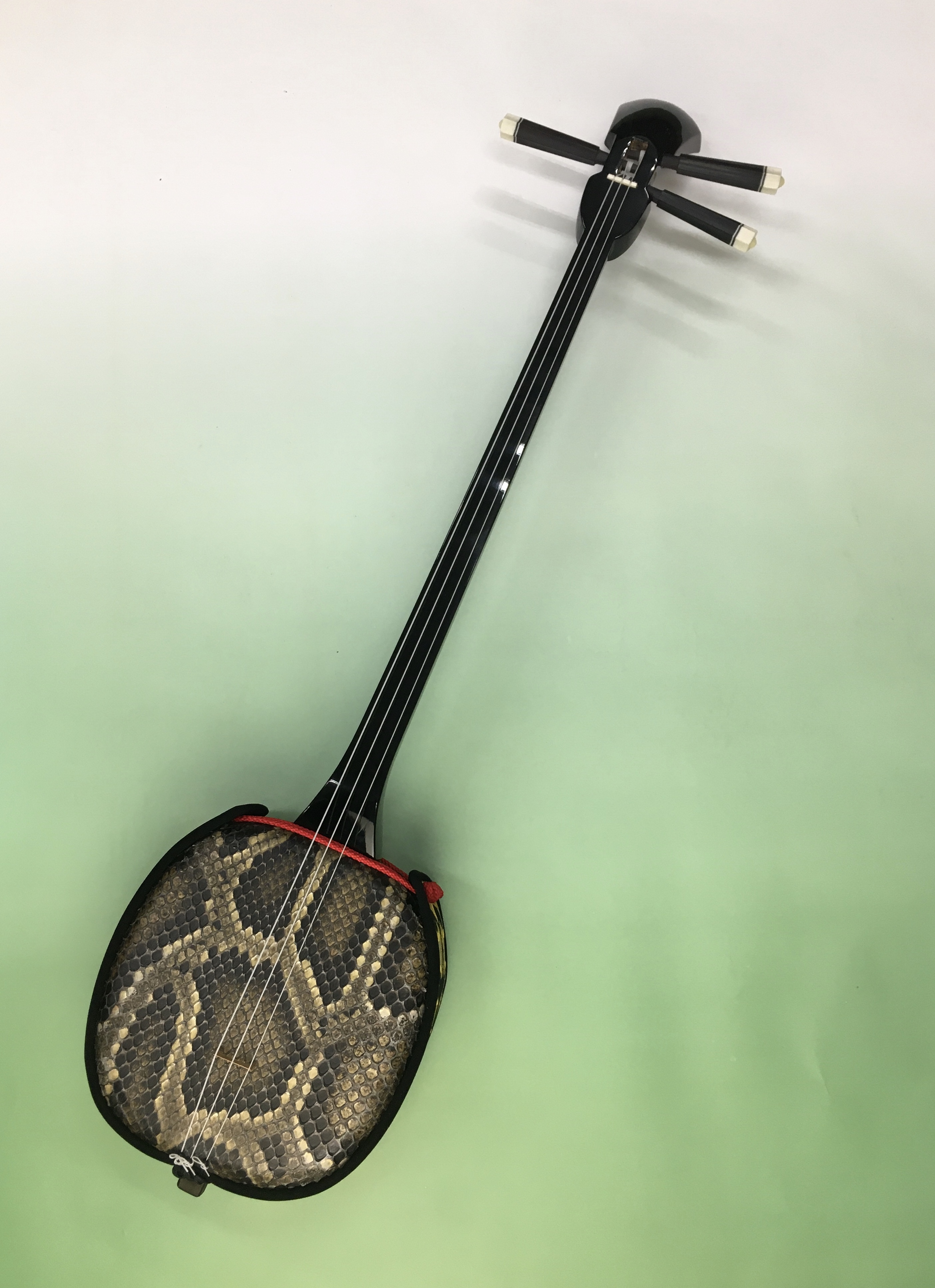 沖縄三線 本蛇皮 三味線 胴巻き 和楽器 ☆ソフトケース付き☆ 沖縄三線