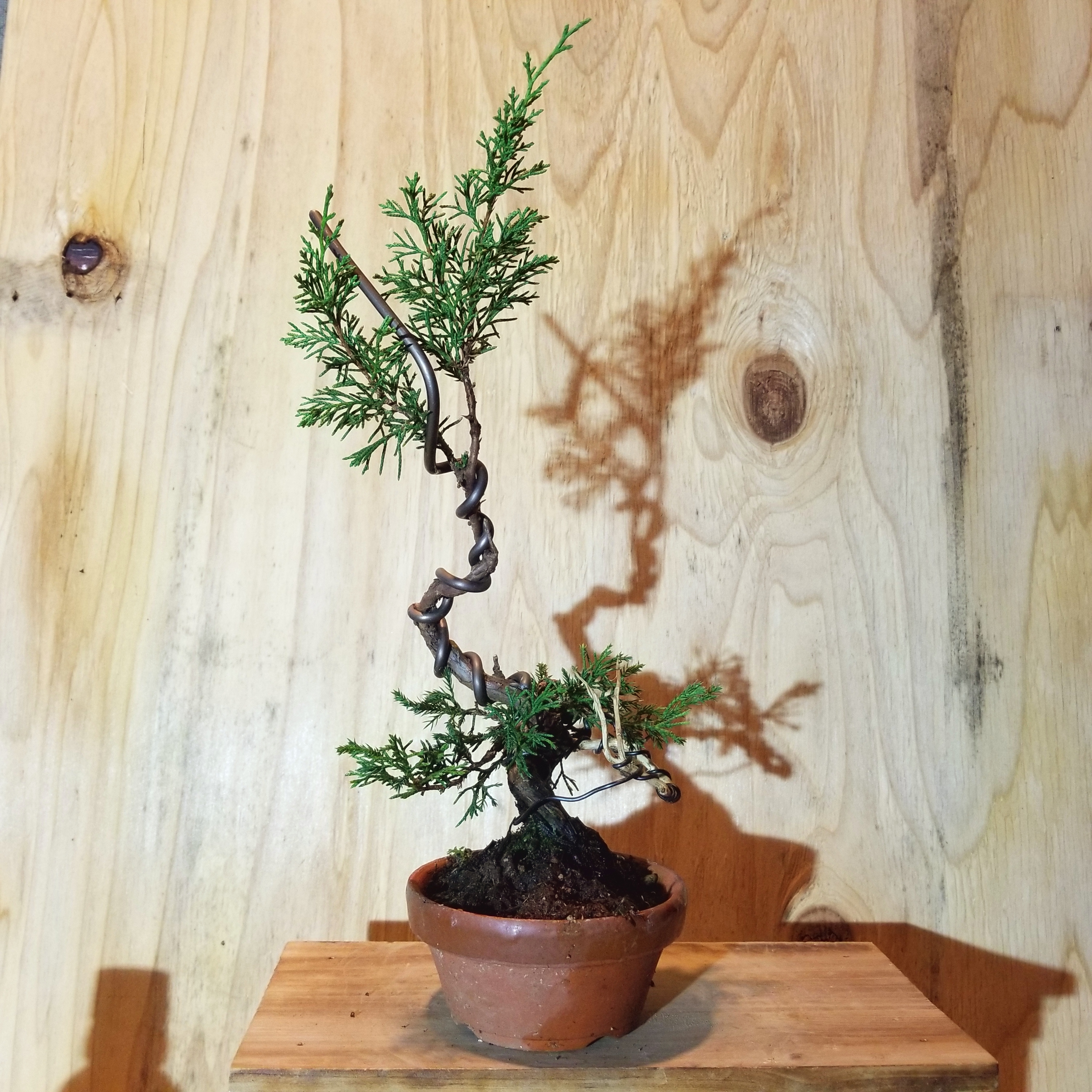 20181121_004120.jpg?fit=3024,3024