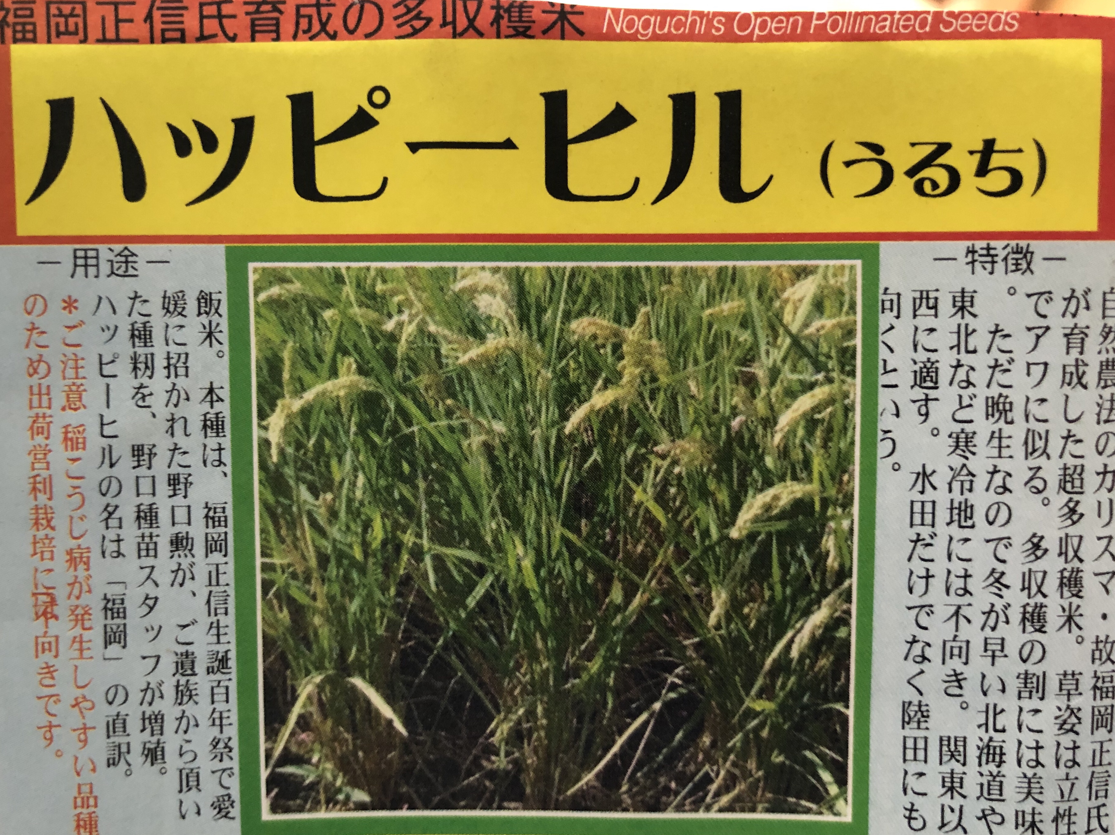 ハッピーヒル播種（はしゅ） | 友和blog