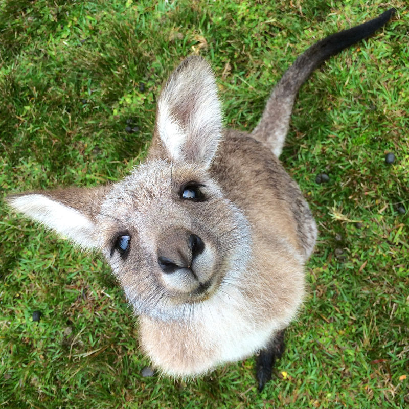 2015-05-31-14.09.48.jpg?fit=