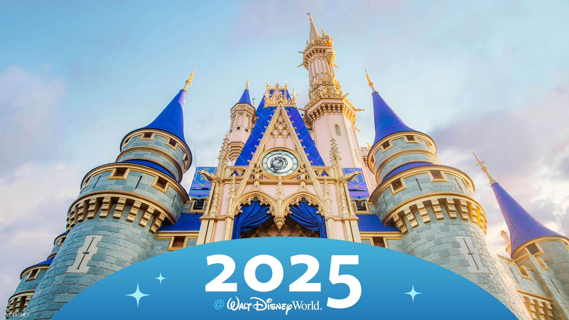 2025-wdw-lookahead-header-1.
