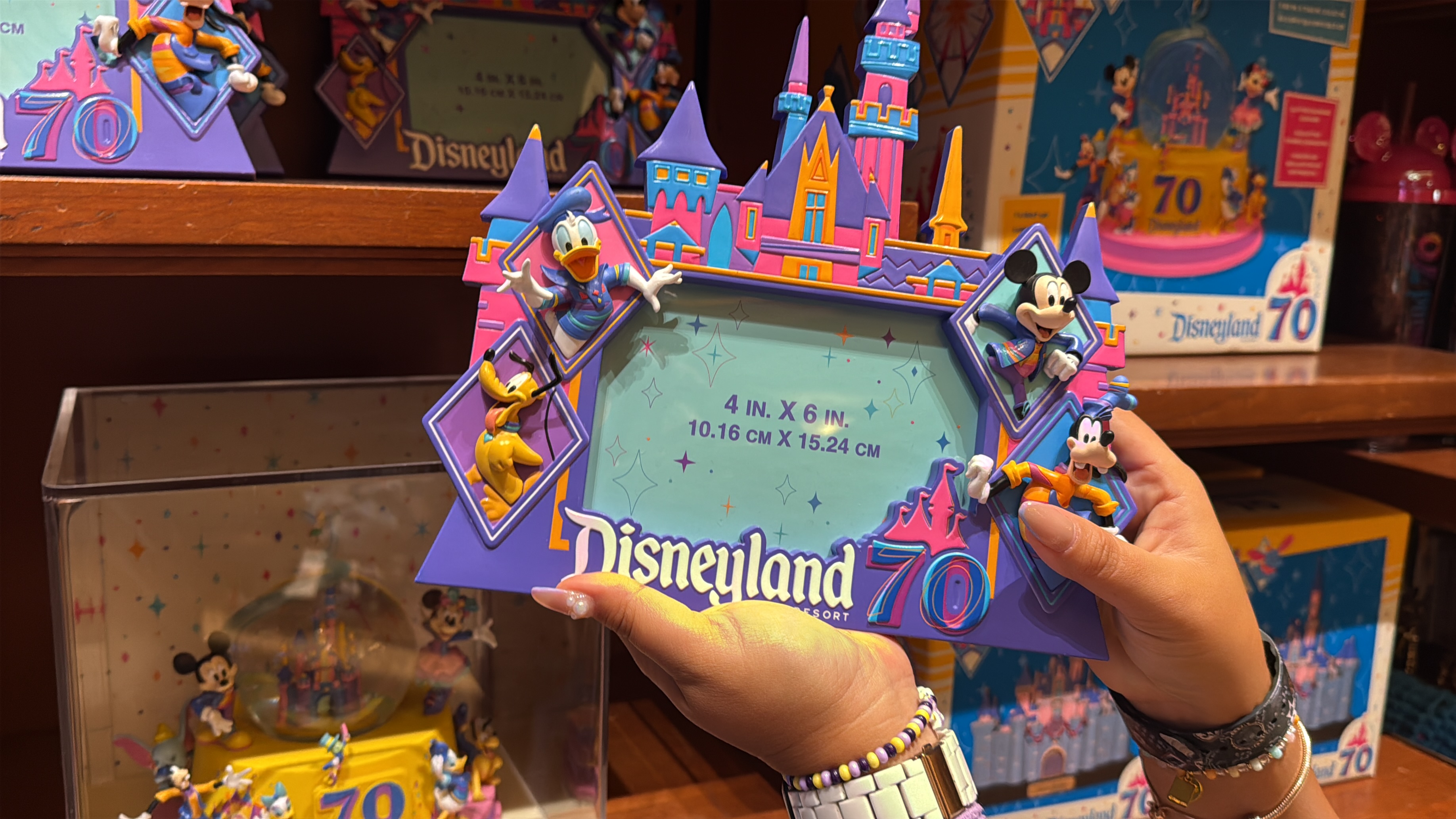 完全保存版】財布崩壊レベル…！ディズニーランド70周年グッズ“全網羅