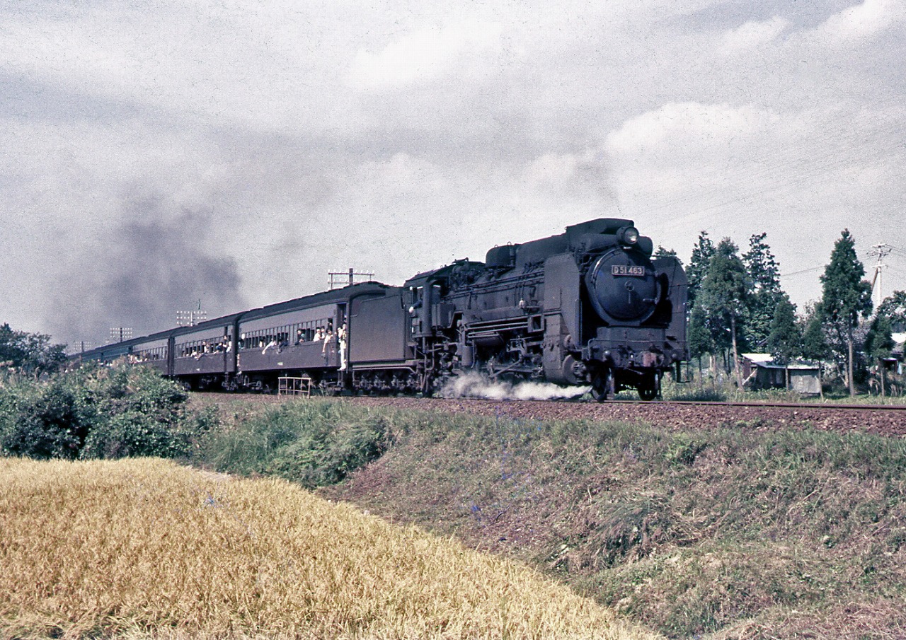 天然色写真で語り継ぐ あの日あの時 【20】 秋編 | DRFC-OB デジタル青信号