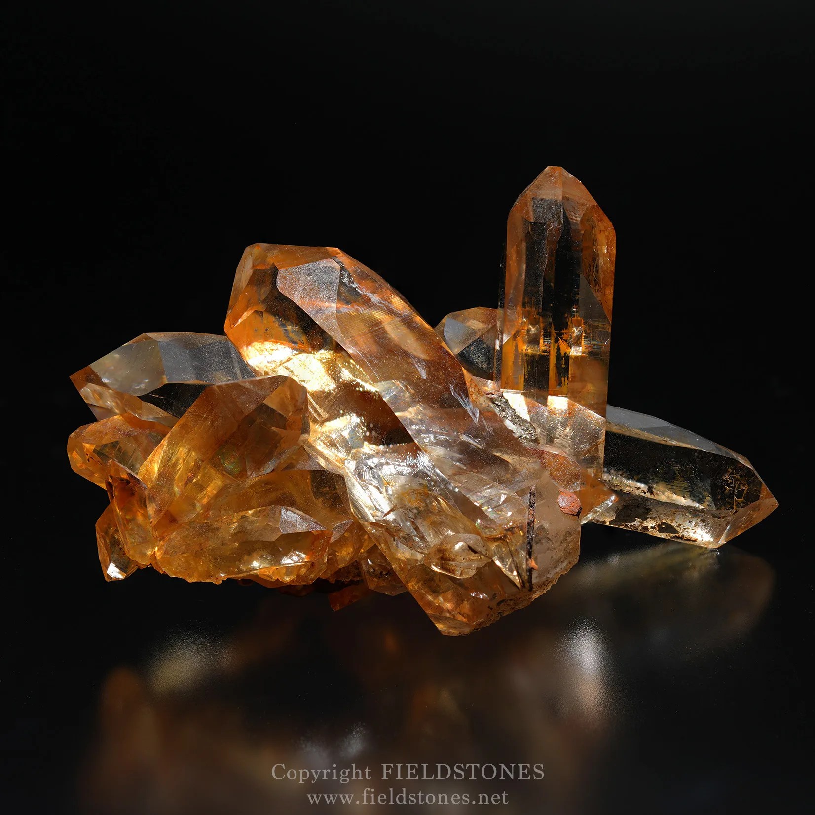 3076-1.jpg?fit=1652,1652&ssl=1